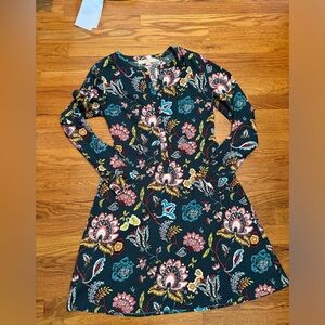 Ann Taylor LOFT dress